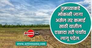 मोकळ्या जमिनीचे फायदे