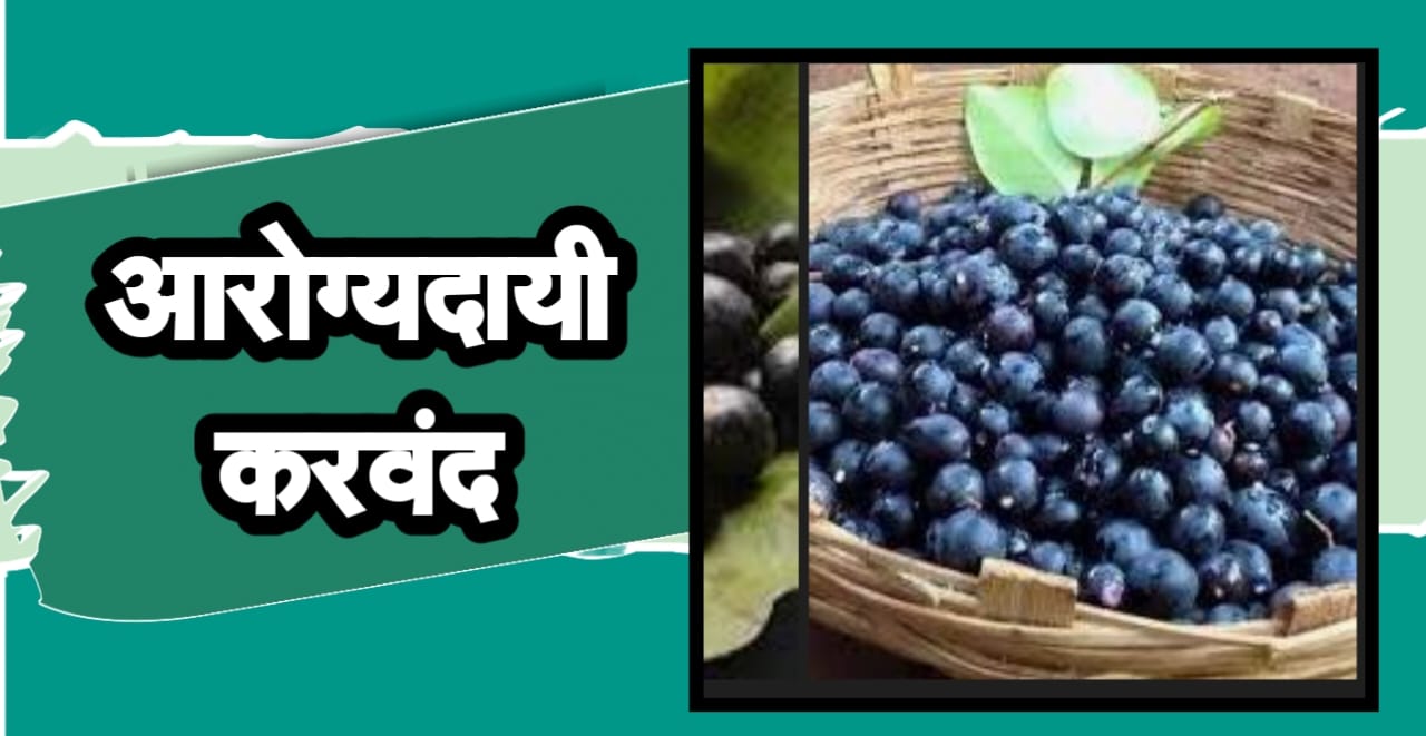 आरोग्यदायी करवंद