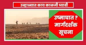 उष्णतेच्या लाटे