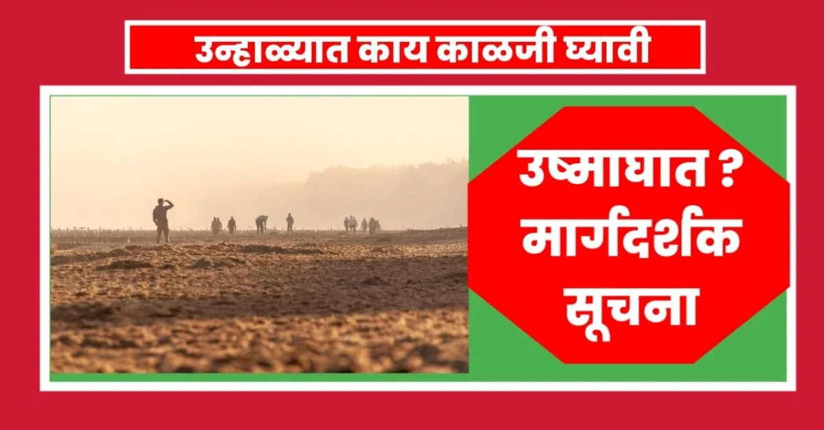 उष्णतेच्या लाटे