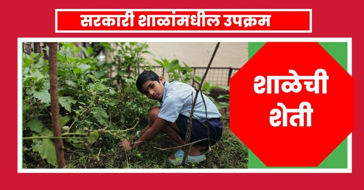 हिरवीगार परसबाग